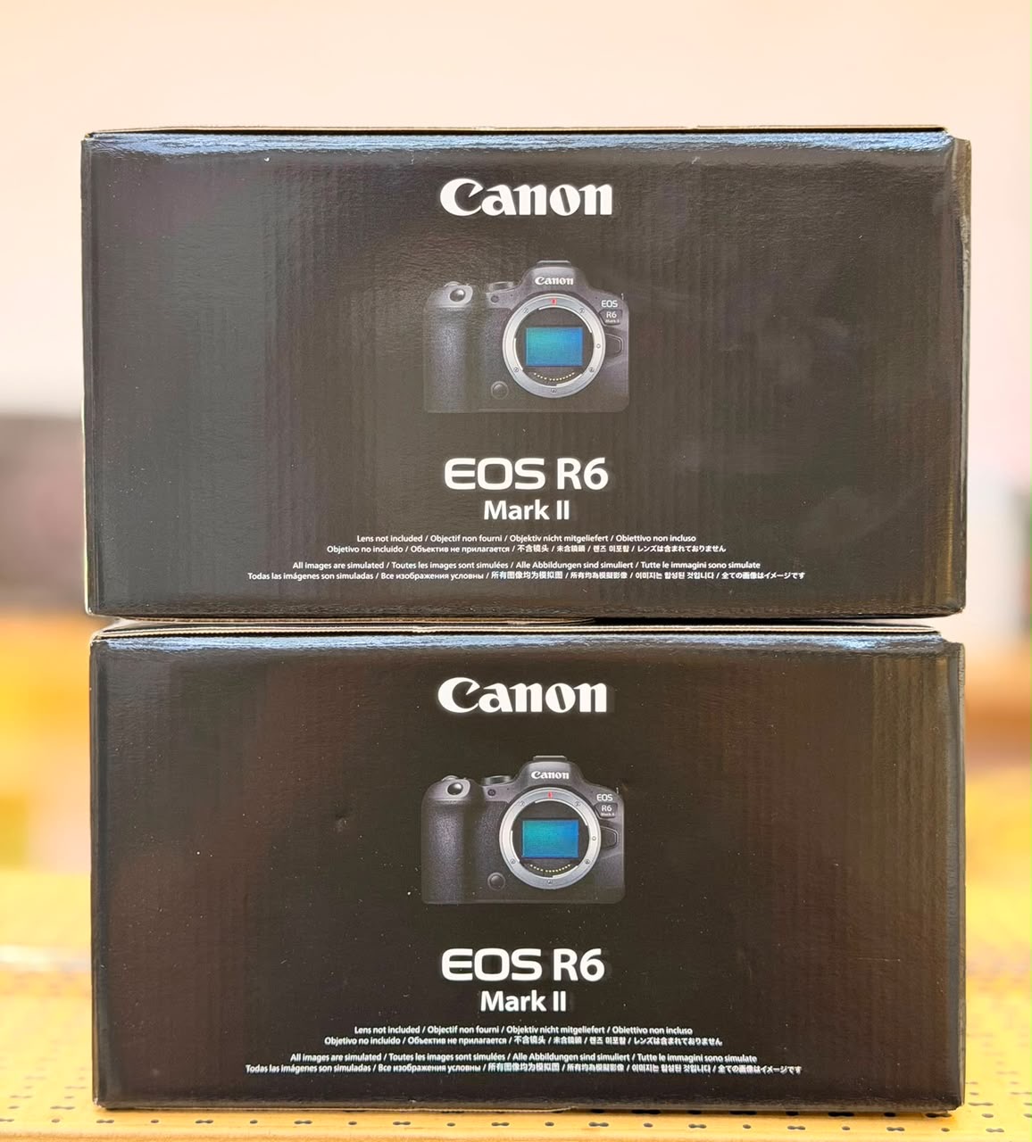 Canon EOS R6 Mark II